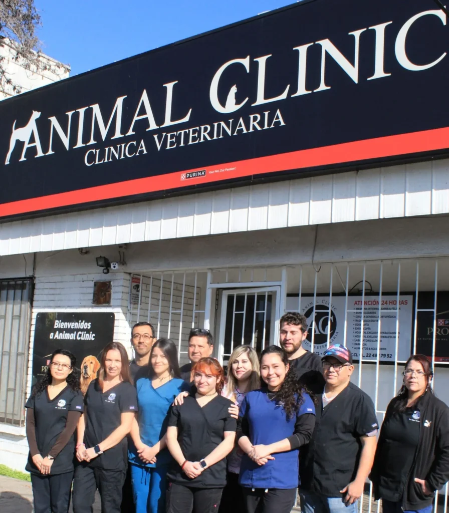 IMG_4100-scaled-e1729359798597_11_11zon equipo de trabajadores de animal clinic